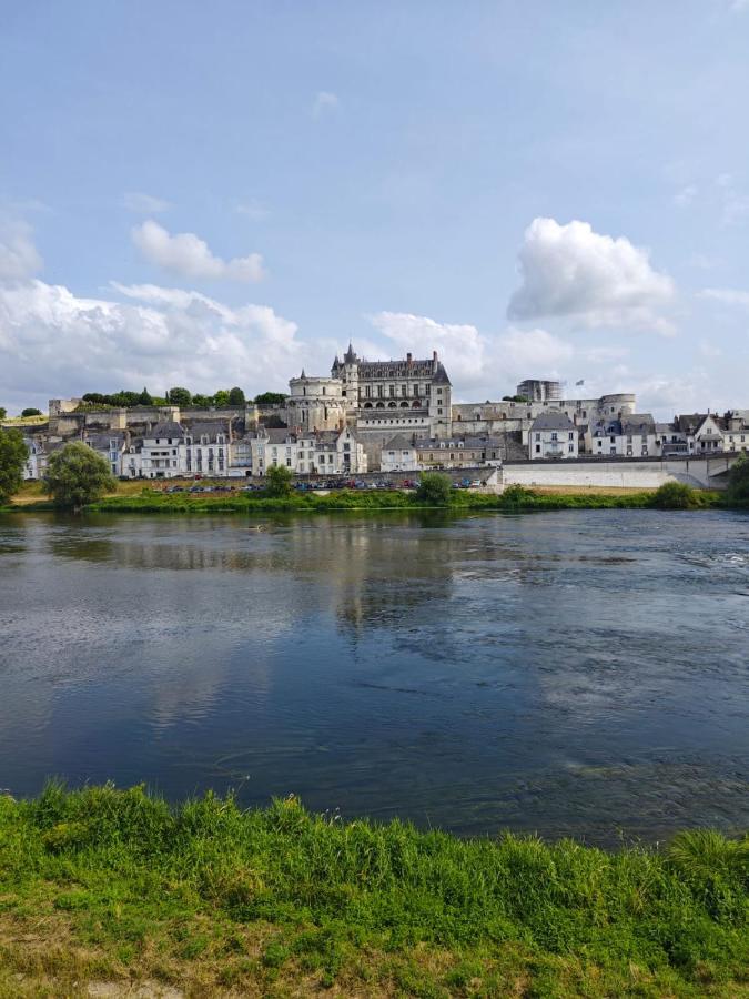 Le Nid De L'Ile Villa Amboise Kültér fotó